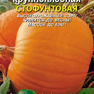 Тыква Стофунтовая 2 г, Плазменные семена
Тыква Стофунтовая 2 г, Плазменные семена