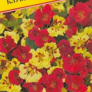 Настурция большая Клубничный крем 1 г, Семена Престиж
Настурция большая Клубничный крем 1 г, Семена Престиж