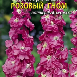 Левкой Розовый гном низкорослый 0,1 г, Плазменные семена
Левкой Розовый гном низкорослый 0,1 г, Плазменные семена