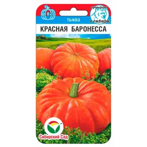 Тыква Красная баронесса 5 шт. Семена Сибирский Сад
Тыква Красная баронесса 5 шт. Семена Сибирский Сад