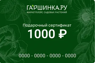 Подарочный сертификат интернет-магазина «Гаршинка.ру» номиналом 1000 рублей