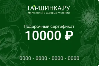 Подарочный сертификат интернет-магазина «Гаршинка.ру» номиналом 10000 рублей