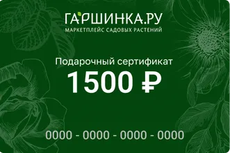 Подарочный сертификат интернет-магазина «Гаршинка.ру» номиналом 1500 рублей