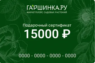Подарочный сертификат интернет-магазина «Гаршинка.ру» номиналом 15000 рублей