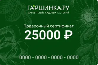 Подарочный сертификат интернет-магазина «Гаршинка.ру» номиналом 25000 рублей