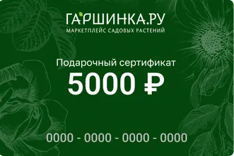 Подарочный сертификат интернет-магазина «Гаршинка.ру» номиналом 5000 рублей
