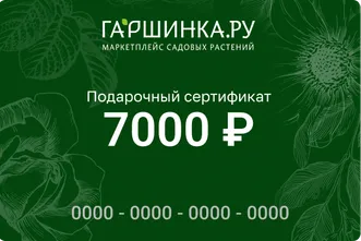 Подарочный сертификат интернет-магазина «Гаршинка.ру» номиналом 7000 рублей