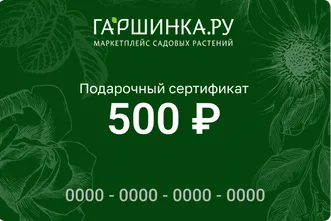 Подарочный сертификат интернет-магазина «Гаршинка.ру» номиналом 500 рублей
