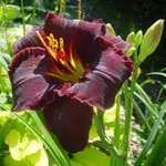 Блэк Стонкингс-3