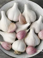 Григорий Комаров-2