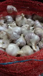 Подмосковный-3