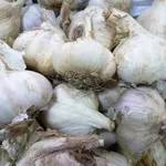 Подмосковный-1