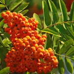 Солнечная-3