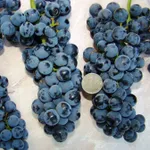 Неретинский-3