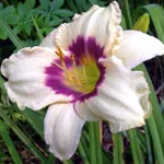 Пандорас Бокс-2