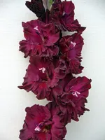 Таинство ночи -4