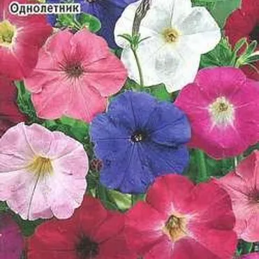 Петуния Веселая карусель F1 10 шт. гранул. пробирка