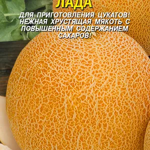 Дыня Лада 1 г Плазменные семена 31₽