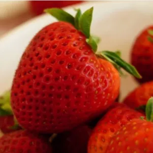 

Клубника Первоклассница