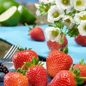 

Клубника Белтран ремонтантная