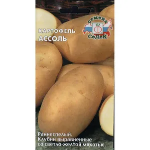

Картофель Ассоль 0,02 г, Семена Седек