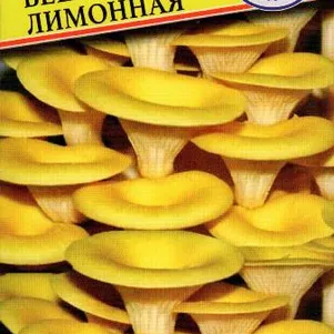 Вешенка лимонная или золотая 12 палочек Семена Престиж 120₽