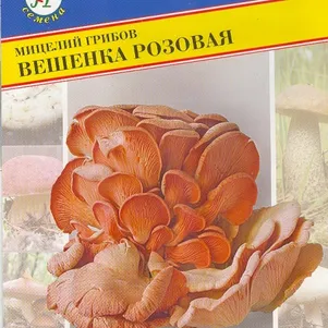 Вешенка розовая 12палочек Семена Престиж 120₽