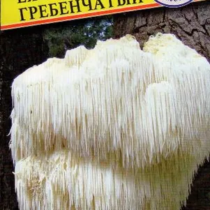 Ежевик гребенчатый Ямабуши 12 палочек Семена Престиж 120₽