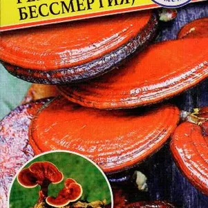 Рейши Гриб бессмертия 12 палочек Семена Престиж 120₽