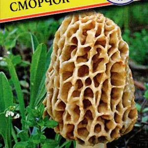 Сморчок 60 мл Семена Престиж 146₽