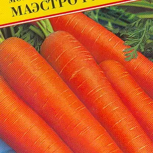 

Морковь Маэстро F1 на ленте 6 м, Семена Престиж