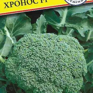 

Брокколи Хронос F1 10 шт, Семена Престиж