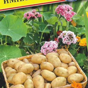 

Картофель Импала 0,05 гр, Престиж