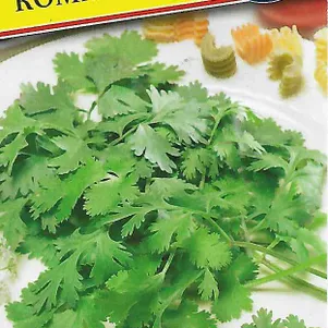 

Кинза (Кориандр) Коммандер 1 г, Семена Престиж