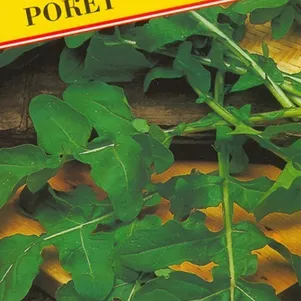 

Руккола (Индау) Рокет овощная 1 г, Семена Престиж