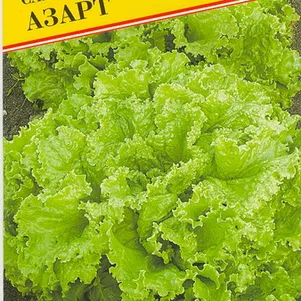 

Салат Азарт 0,5 г, Семена Престиж