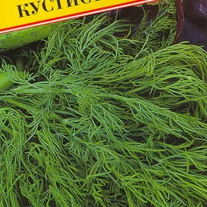 Укроп Кустистый 1 г Семена Престиж 18₽