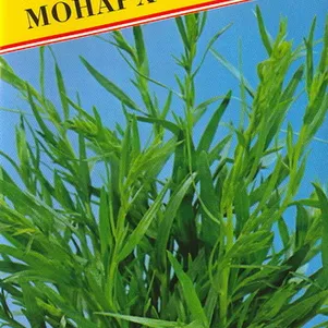 

Эстрагон (тархун) Монарх 0,1 г, Семена Престиж