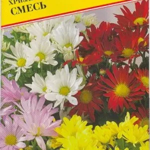 Хризантема Смесь индийская 005 г Семена Престиж 36₽