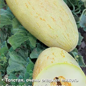 Дыня Торпеда 15 шт Семена Поиск 53₽