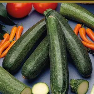 

Кабачок Деликатес 12 шт, Семена Поиск