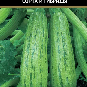 

Кабачок Сударь 12 шт, Семена Поиск