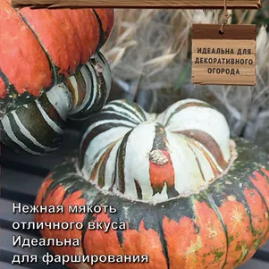 Тыква крупноплодная Турецкая чалма сер Декоративный огород 5 шт Семена Поиск 73₽