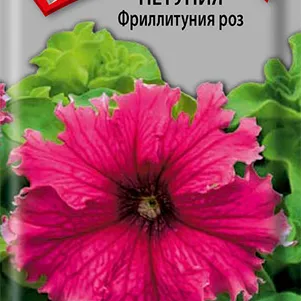 

Петуния Фриллитуния роз 10, Семена Поиск