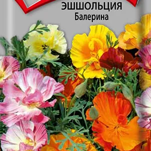

Эшшольция Балерина 0,15, Поиск