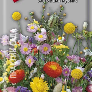 

Сухоцветы Застывшая музыка 0,3 г, Семена Поиск