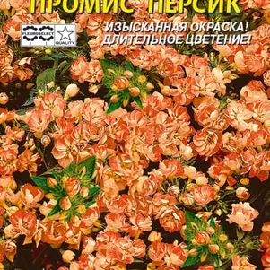 

Флокс Промис Персик махровый 5 шт, Плазменные семена