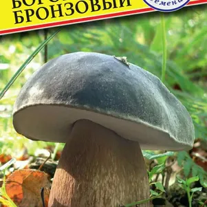 Боровик бронзовый Мицелий грибов 60 мл Семена Престиж 146₽