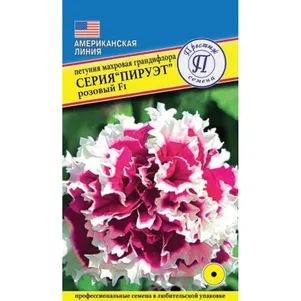 

Петуния Пирует Розовый F1 5 др, Семена Престиж