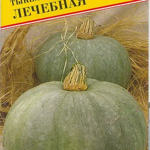 Тыква Лечебная РС-1 5 шт Семена Престиж 24₽